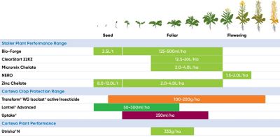 Canola Phenology Chart